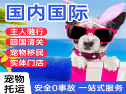 朔州滋润航空邮寄国际宠物托运 【国